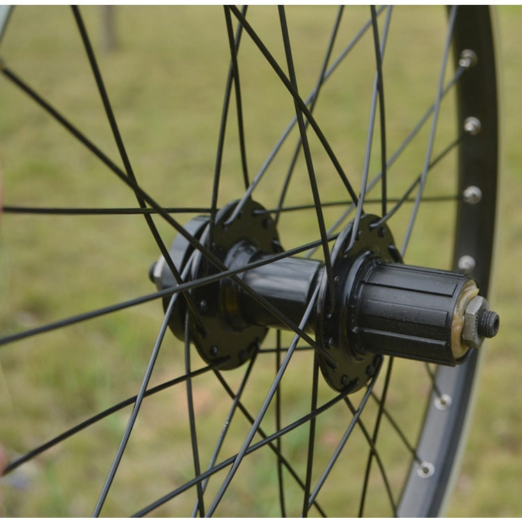 Meijun 20in Wheelset