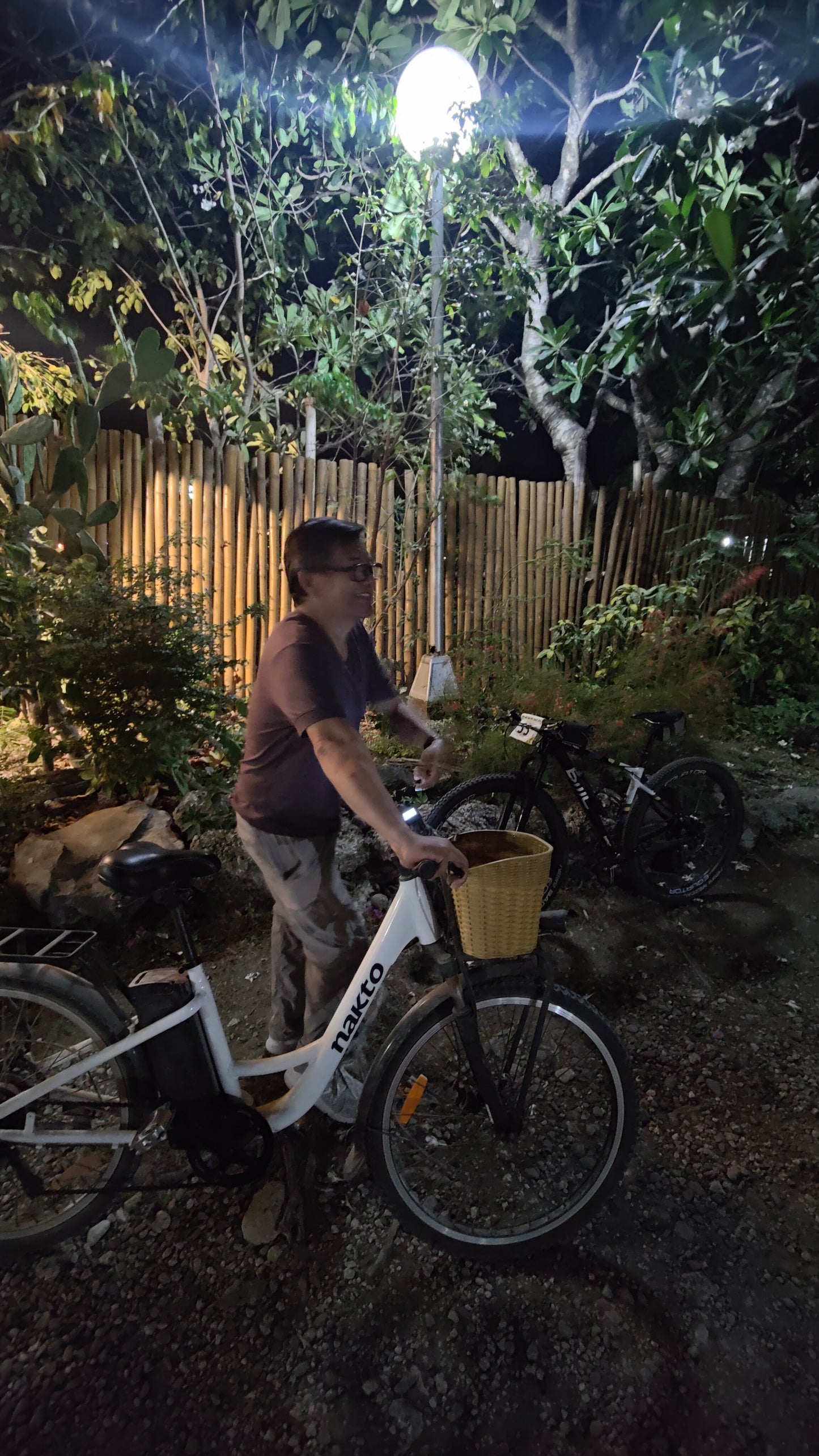 (PRE-ORDER) Nakto Breeze Electric Bicycle