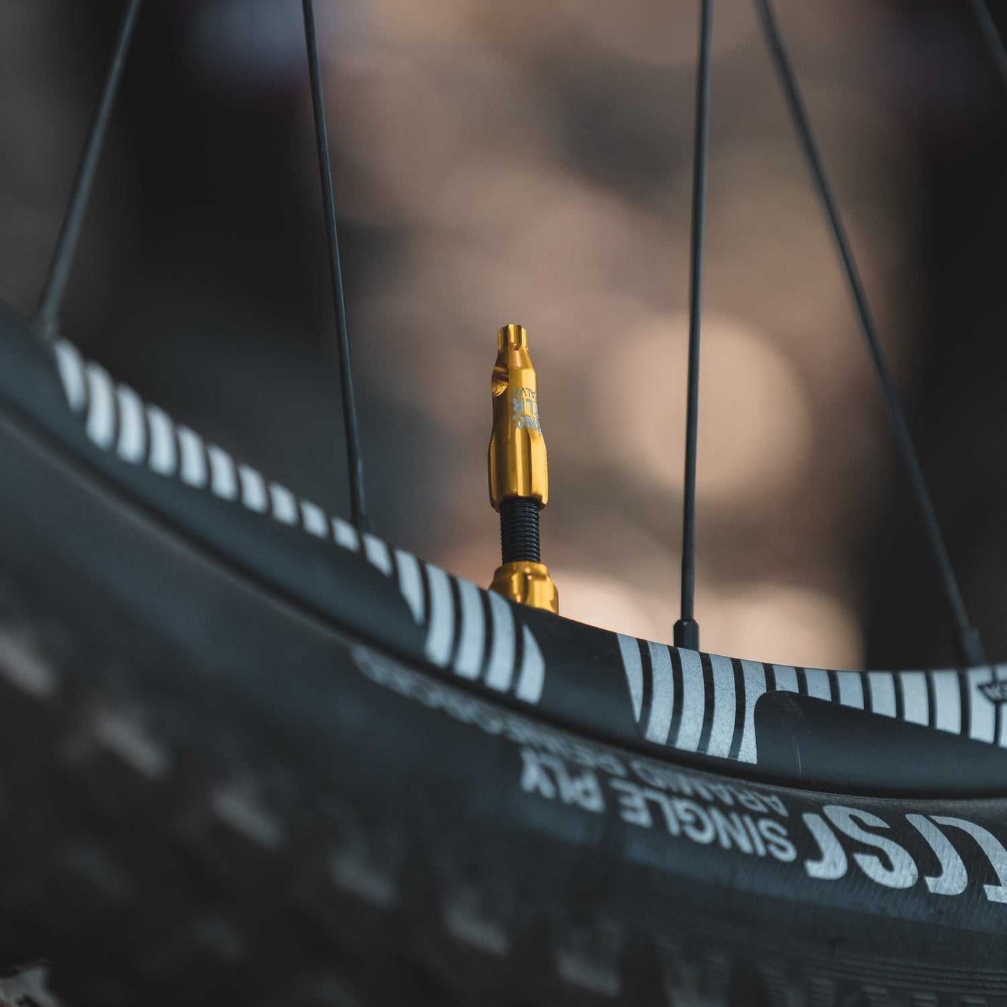 Lezyne Tubeless Valves CNC TLR Valve Caps