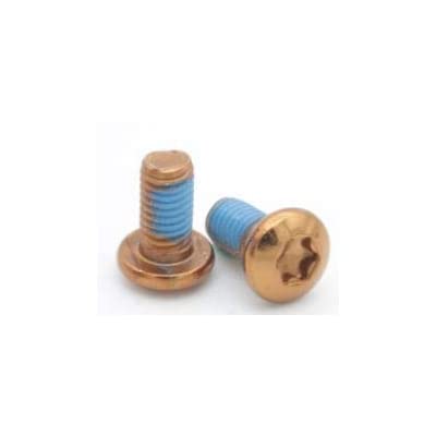 Zeno Steel Rotor Bolts