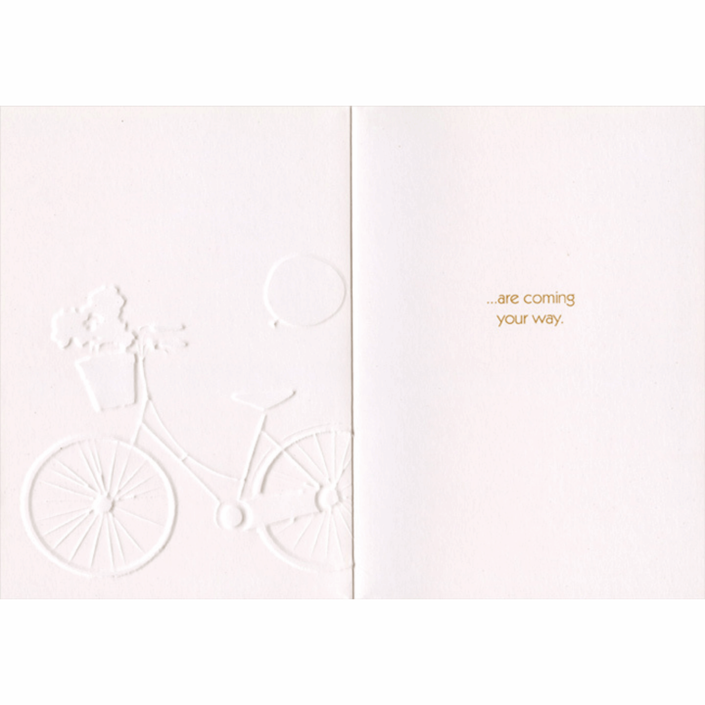 Bike w/ Balloons & Flowers Birthday Card