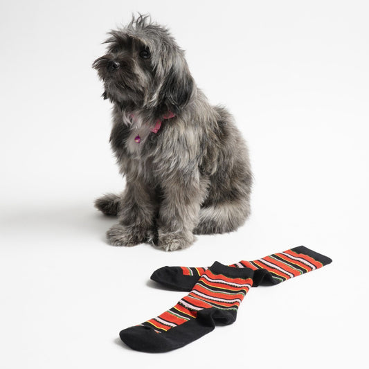 Kantarines (RB)- INDI Heritage Socks (Adult)