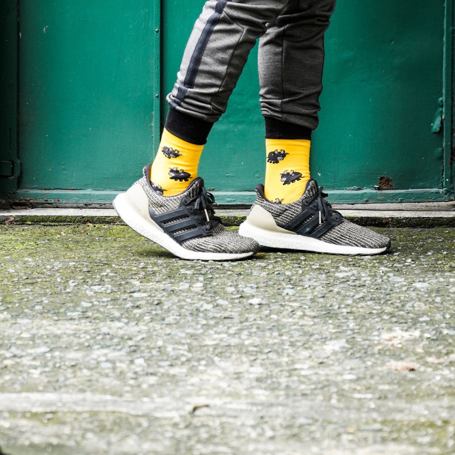 Tamaraw - INDI Heritage Socks (Adult & Kids)