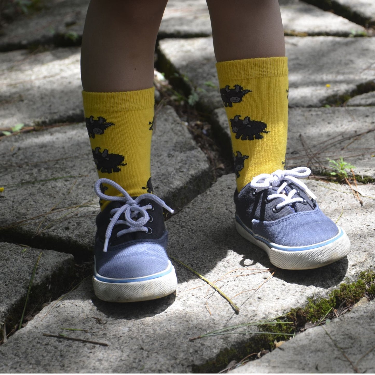 Tamaraw - INDI Heritage Socks (Adult & Kids)