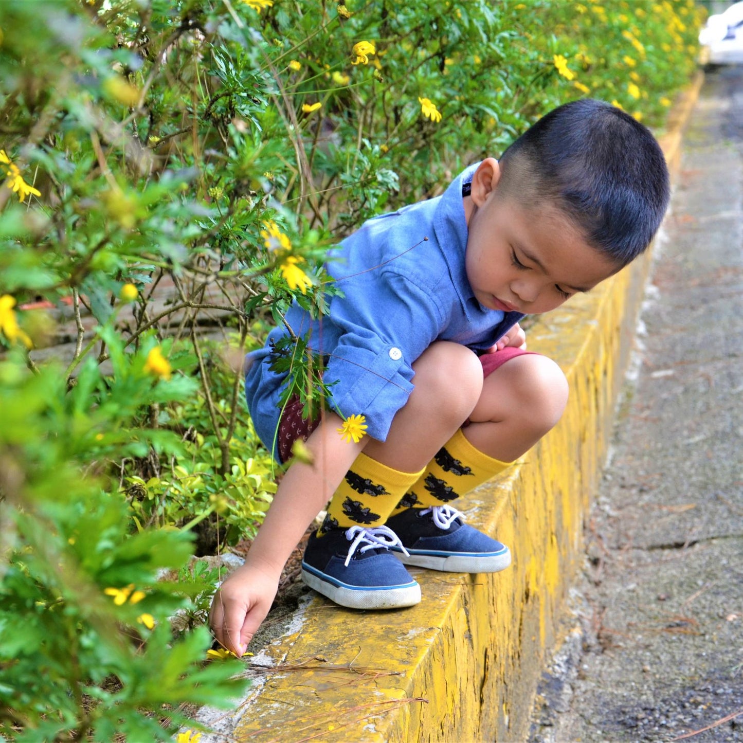 Tamaraw - INDI Heritage Socks (Adult & Kids)