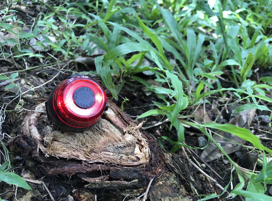 Sate-lite R03K Rechargeable IPX5 Waterproof Rear Light