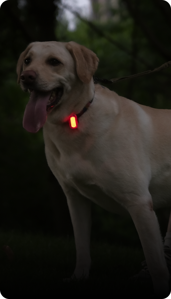 Lumos Firefly Mini Lights & Mounts