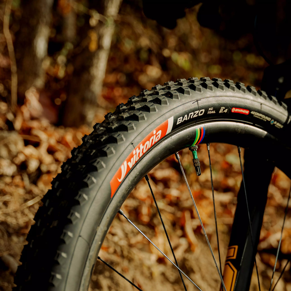 Vittoria Barzo XC Trail Tire (29 x 2.25in, TLR)