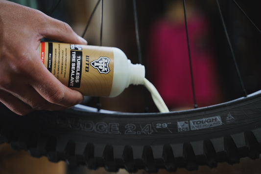 WTB TCS Tubeless Tire Sealant