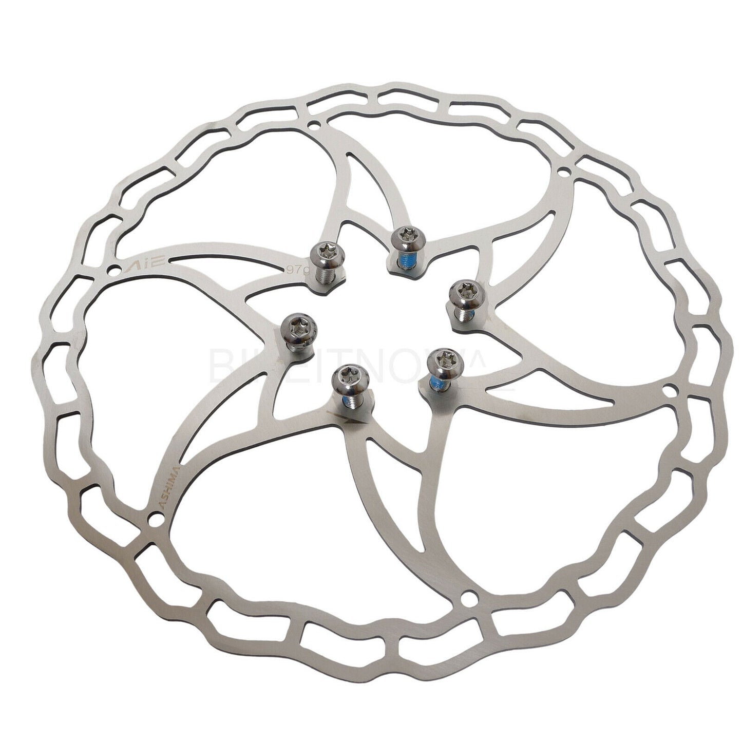 Ashima AiNEON Rotor Discs (6 Bolt)