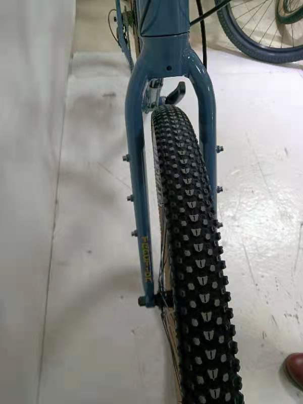 Traction Roloo eXp Bike